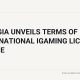 Illustration for Georgia's new international iGaming licence regime